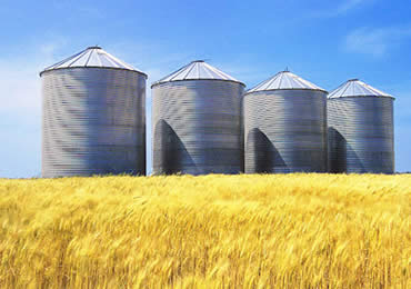 food security